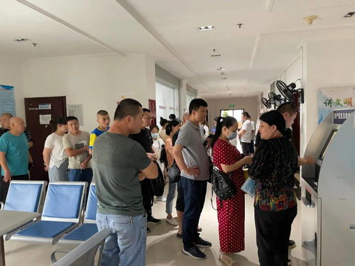 貼心服務暖人心 市住建局產權處多措并舉應對房產檔案查詢高峰