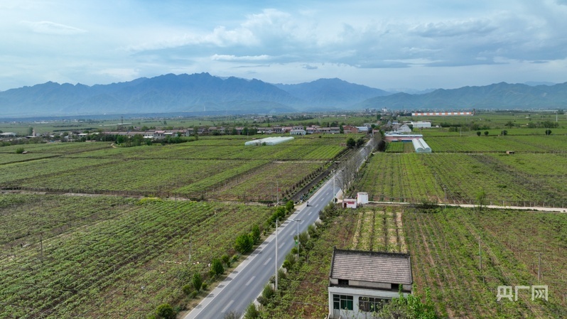 鄉(xiāng)路上，感受脈動(dòng)中國(guó)——美麗鄉(xiāng)路服務(wù)提質(zhì)，地標(biāo)鮮果助力振興