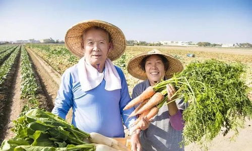 退休金4200的我，在農(nóng)村嫂子家看到的另一種富足